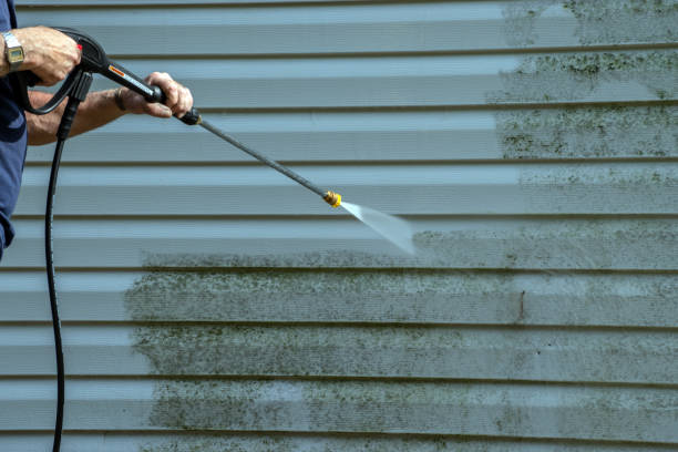Best Exterior Home Cleaning  in Budd Lake, NJ
